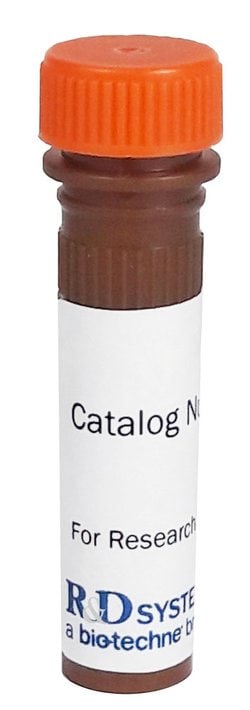 Mouse Fibroblast Activation Protein alpha/FAP Alexa Fluor 700-conjugated